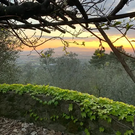 Bed & Breakfast Podere Le Vedute