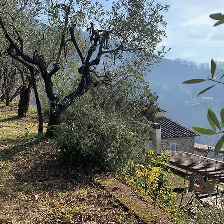 Podere Le Vedute Bed and breakfast Larciano